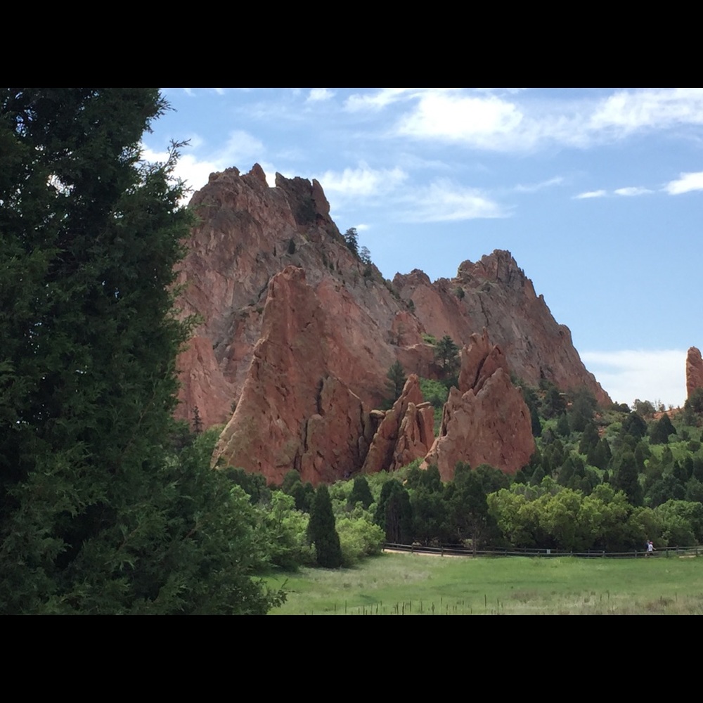 Meet your Posher, Randy - Picture 8 of 8